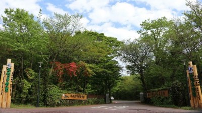 제주 서귀포 자연휴양림 이용 숙박 요금 위치, 02