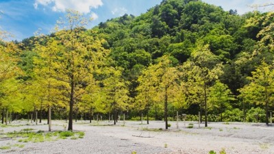 인제 진동리 국민여가캠핑장 예약안내 요금 위치, 10